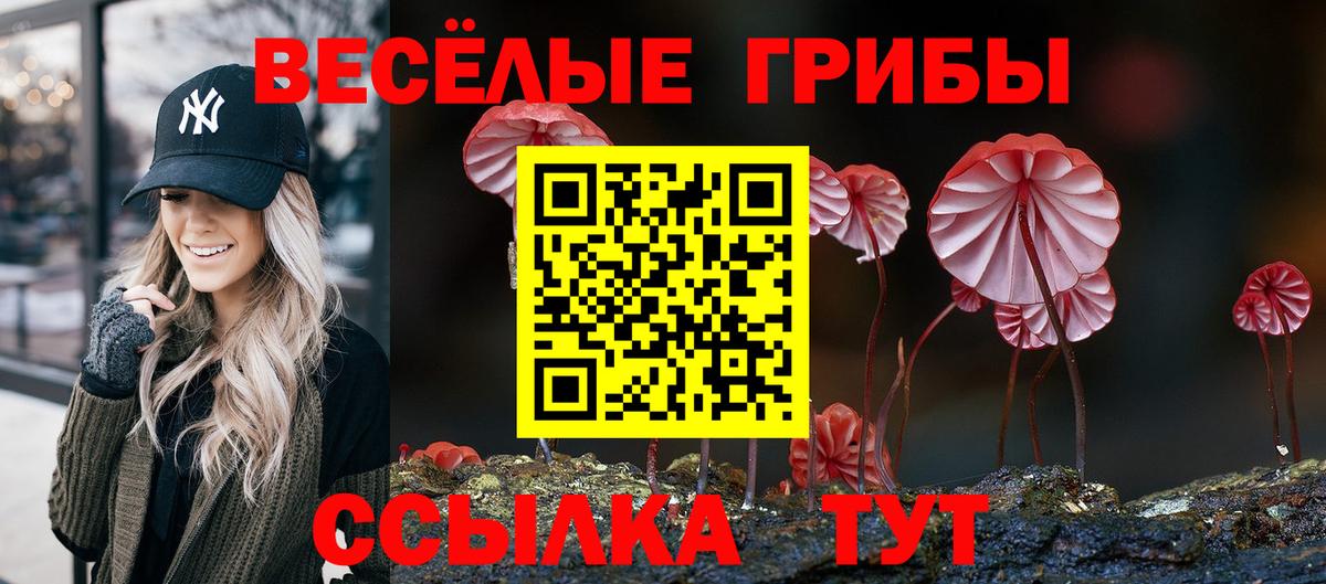 Дюртюли  Галлюциногенные грибы мухоморы  Вход с VPN  Псилоцибиновые грибы мухоморы 